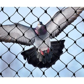 Pigeon net